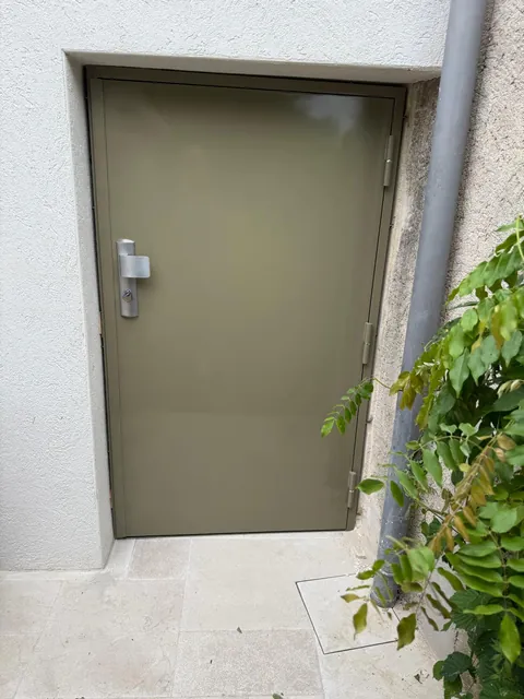 Porte en acier gris posée sur une façade, avec poignée et serrure, plante au premier plan